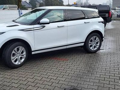 Używany Land Rover Range Rover evoque 2019 Biały SUV