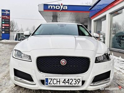Używany Jaguar XF 163 KM (119 kW) 2017 Biały Sedan/Limuzyna