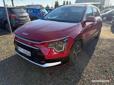 Bordowy Używany 2024 Kia Niro SUV | 89 500 zł (Super Cena)
