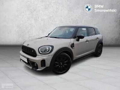 używany Mini Countryman Sportowa Skrzynia Biegów, LEDy, Driving Assistant, Asystent parkowan