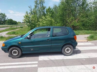 VW Polo