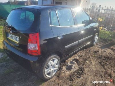 Używany Kia Picanto 2004 Hatchback