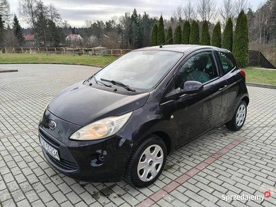 Używany 2009 Ford Ka | 9900 zł (Uczciwa cena)