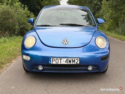VW Beetle