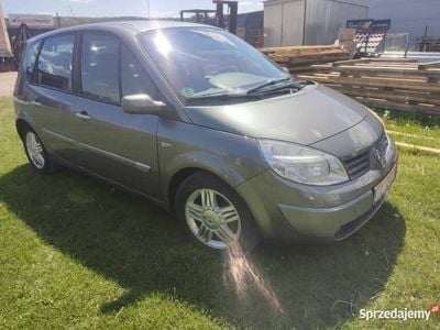 Używany Renault Scénic II 2004 Minivan