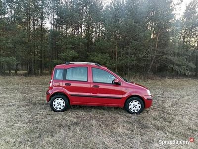 Używany Fiat Panda 2011 Czerwony Hatchback