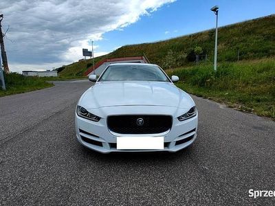 Używany 2014 Jaguar XE Sedan/Limuzyna | 41 700 zł (Dość drogi)