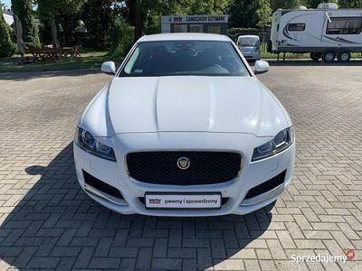 Biały (metalik) Używany 2017 Jaguar XF Sedan/Limuzyna | 85 900 zł