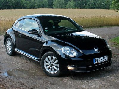 VW Beetle