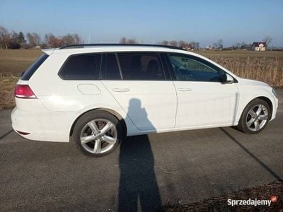 VW Golf VII