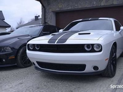 używany Dodge Challenger 