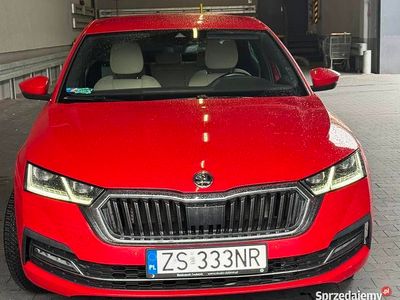 Używany 2020 Skoda Octavia | 55 000 zł (Uczciwa cena)