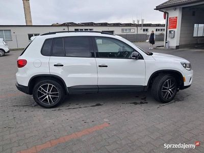 Biały Używany 2016 VW Tiguan SUV | 38 500 zł