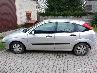 używany Ford Focus 