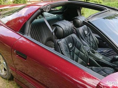 Bordowy Używany 1994 Pontiac Trans Am Coupe | 55 000 zł