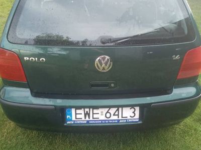 VW Polo