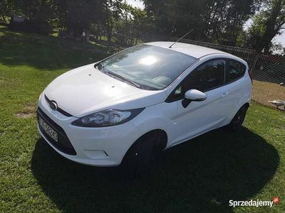 Biały Używany 2010 Ford Fiesta Hatchback | 13 000 zł (Uczciwa cena)