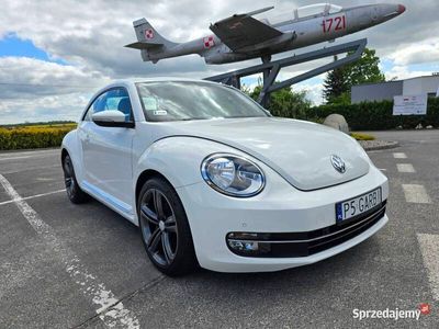 VW Beetle