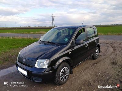 używany Fiat Panda 