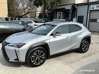 używany Lexus UX 250h