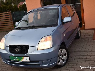 używany Kia Picanto 