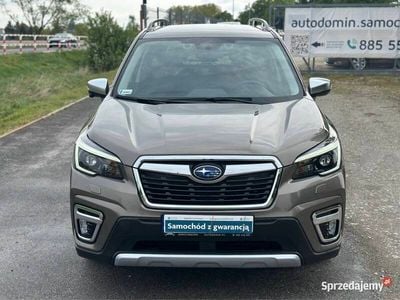 Używany Subaru Forester 2021 Zielony SUV