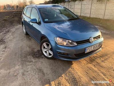 VW Golf VII
