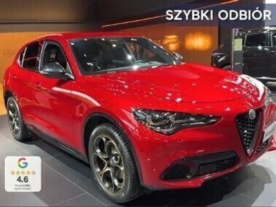 Czerwony Nowe 2025 Alfa Romeo Stelvio SUV | 248 100 zł