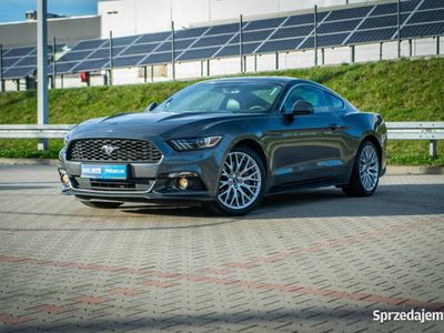 używany Ford Mustang 2.3 Ecoboost