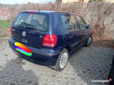 VW Polo