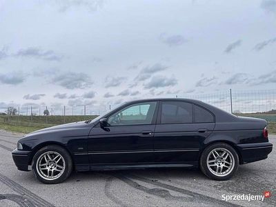 Używany BMW 525 2003 Sedan/Limuzyna