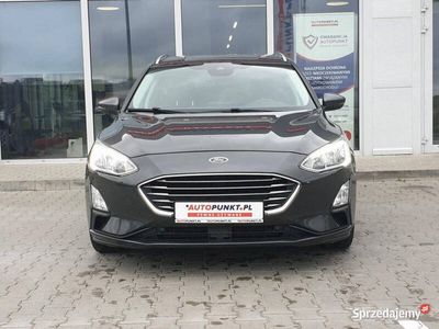 używany Ford Focus 2019r. *Automat*FakturaVat23%*Bezwypadkowy*