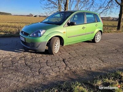 Zielony Używany 2006 Ford Fiesta Hatchback | 4800 zł (Uczciwa cena)