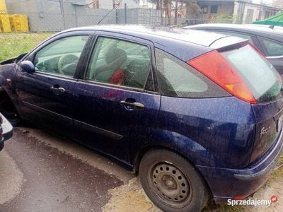 Używany 2003 Ford Focus | 800 zł