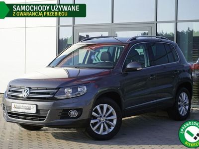 używany VW Tiguan 2 kpl kół Grzane fotele Czujniki Climator…