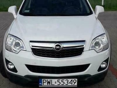 Używany Opel Antara Cosmo 163 KM (119 kW) 2013 Biały SUV