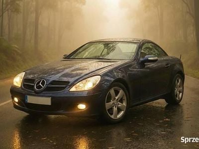 Używany Mercedes SLK200 2008 Kabriolet