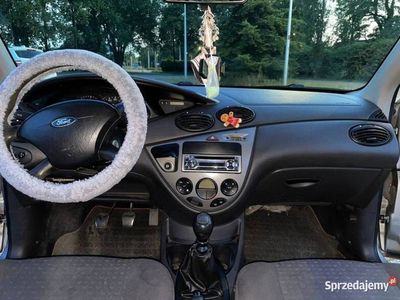 Używany 2004 Ford Focus | 5000 zł (Drogi)