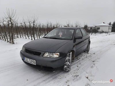 Używany 1999 Audi A3 | 4400 zł (Dość drogi)
