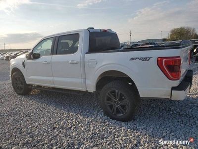 Używany Ford F-150 2023 Pickup