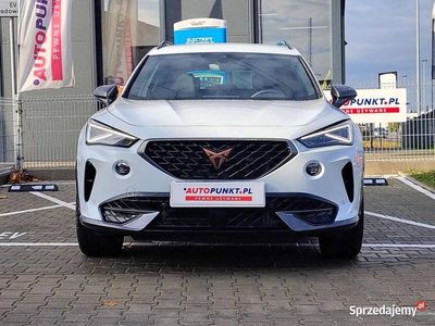 Używany 2024 Cupra Formentor SUV | 134 900 zł (Dość drogi)