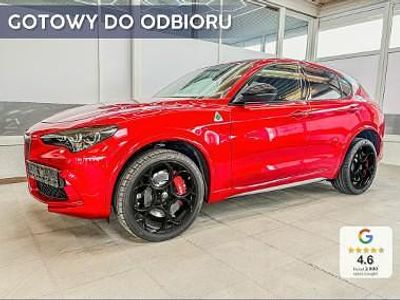 Czerwony Nowe 2025 Alfa Romeo Stelvio Quadrifoglio SUV | 455 700 zł