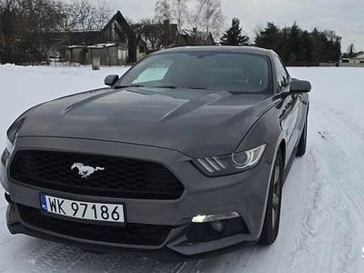 Używany Ford Mustang GT 2015