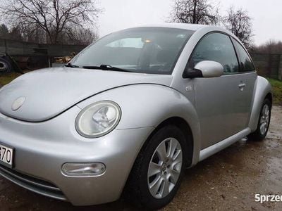VW Beetle