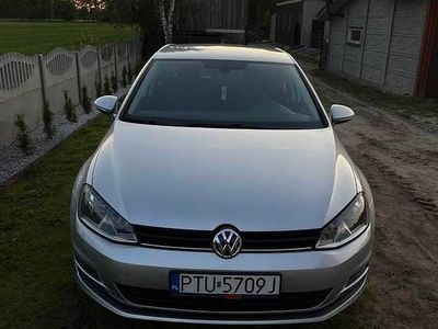 Srebrny Używany 2016 VW Golf VII Hatchback | 36 500 zł (Uczciwa cena)