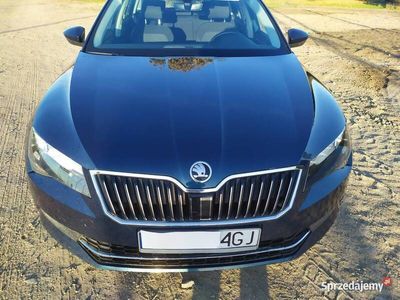 używany Skoda Superb III 1,6 CR 120 kM BEZWYPADKOWY