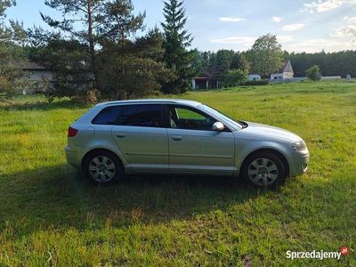 Używany 2005 Audi A3 | 14 999 zł (Uczciwa cena)