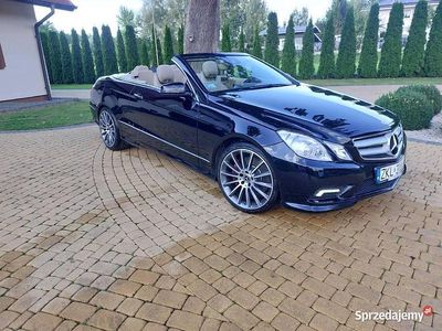 Czarny Używany 2011 Mercedes 500 Kabriolet | 75 000 zł
