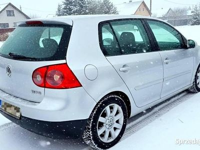 Srebrny Używany 2004 VW Golf V Hatchback | 8800 zł (Uczciwa cena)