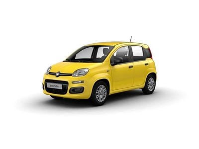 Nowe Fiat Panda Icon 70 KM (51 kW) 2025 Lakier pastelowy zółty positano Hatchback